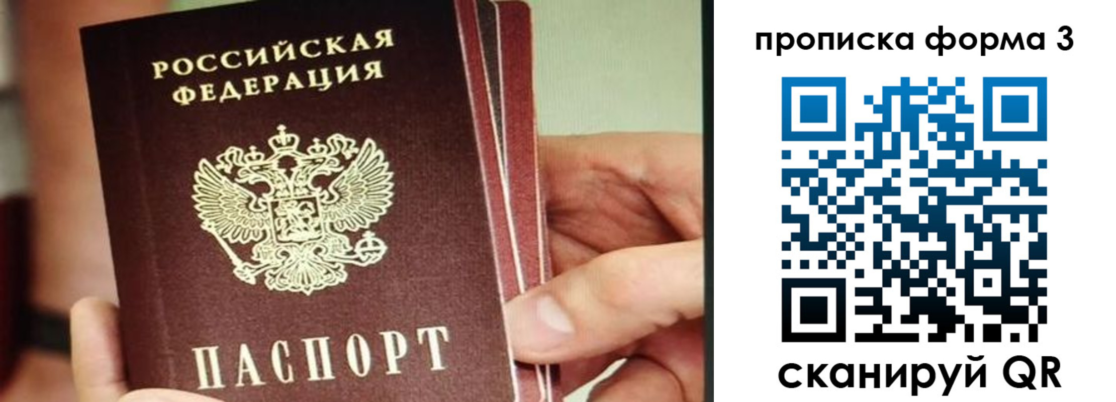 прописка законно в Чите